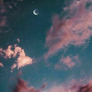 Meet your Posher, Bree